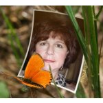 Monika Single Ü50 Sangerhausen