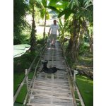 Bernd Single Ü50 Homburg