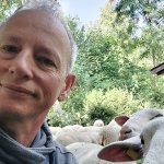 Bernd Single Ü50 Seeburg